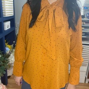 Long sleeve burnt orange tie blouse